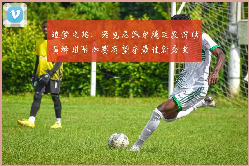 追梦之路：若克尼佩尔稳定发挥助黄蜂进附加赛有望夺最佳新秀奖